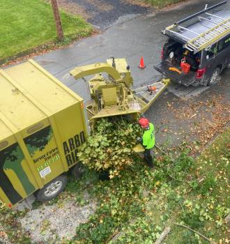 Déchiquetage de branches